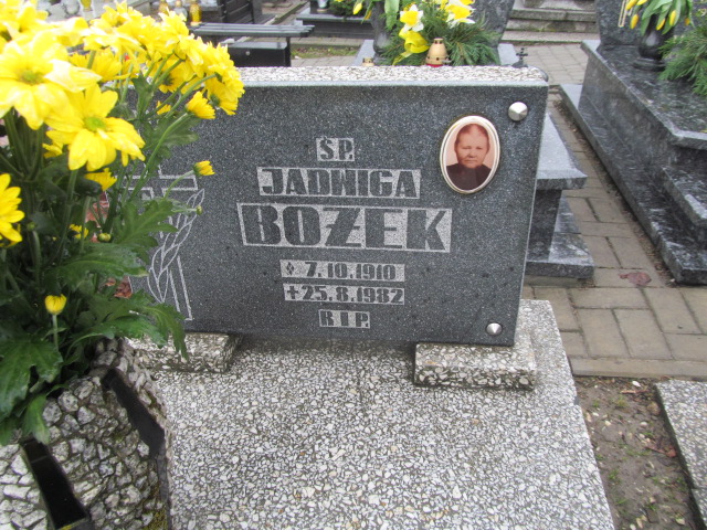Jadwiga Bożek 1910 Mysłowice Morgi - Grobonet - Wyszukiwarka osób pochowanych